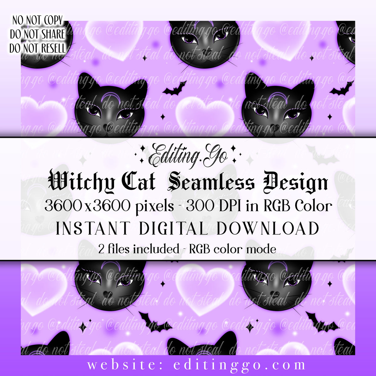 Witchy Cat